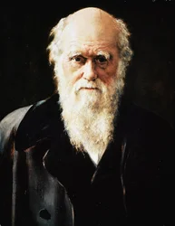 Portrait du naturaliste anglais Charles Darwin (détail)