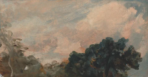 Étude de nuages avec arbres