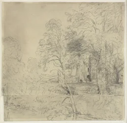Château de Cowdray, vu entre les arbres