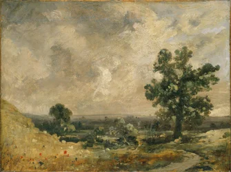 Paysage anglais