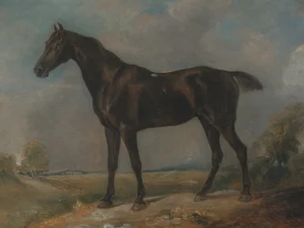 Le cheval de selle noir de Golding Constable, entre 1805 et 1810