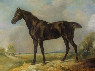 Le cheval de selle noir de Golding Constable, vers 1805-10