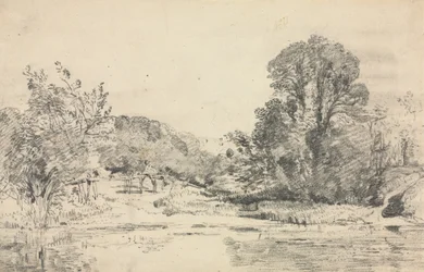 Paysage avec arbres entourant un étang