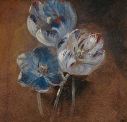 Étude de trois tulipes perroquet, vers 1832
