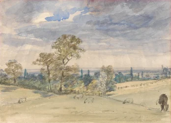 Paysage du Suffolk
