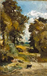 Le champ de maïs