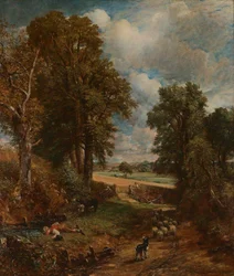 Le champ de maïs