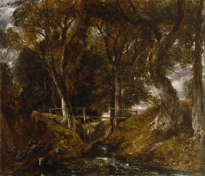 Le vallon à Helmingham Park