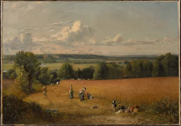 Le champ de blé
