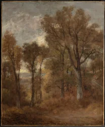Paysage boisé dominant la vallée de Dedham