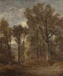 Scène boisée surplombant Dedham Vale, vers 1802-03