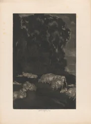 Moutons au crépuscule