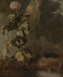 Un pavot égyptien et une taupe d