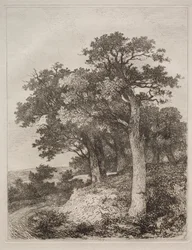 À Colney
