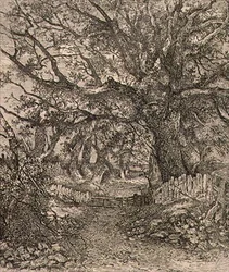 À Trowse, pub. par J. & W. Freeman