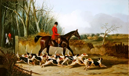 Crocteth Harriers, arrière de Stanfield