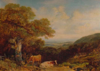 Paysage avec du bétail