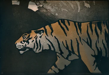 Le Tigre, c1900