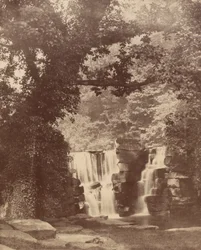 Les chutes supérieures, bois de la vallée de Penllergare, c. 1852 (photo)