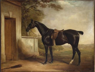 Portrait de Buckle, le chasseur du premier Lord Chesham, 1836