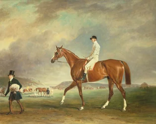 Le cheval de course châtain Cur avec jockey sur la Heath de Newmarket