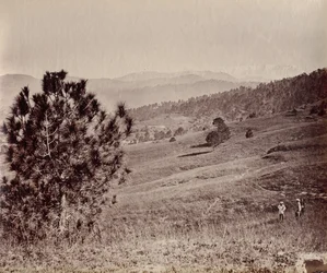 Paysage avec arbre et trois hommes, Inde