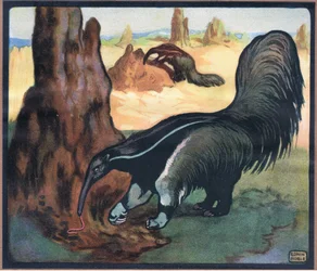 Fourmilier