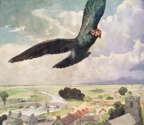 Oiseau volant au-dessus d