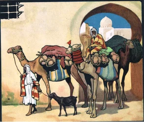 Caravane de chameaux, illustration de 