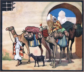 Caravane de chameaux