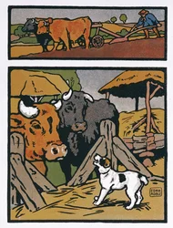 Illustration pour Le Chien et la Vache, des 