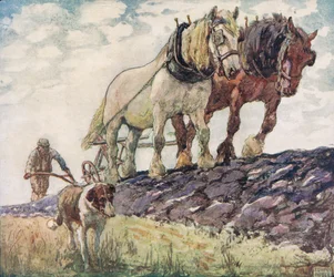 Labourer le champ, illustration de 