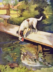 Le chien et l