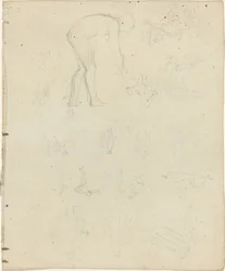 Feuille d