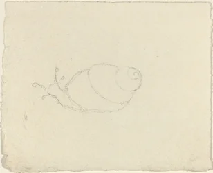 Escargots [recto et verso]