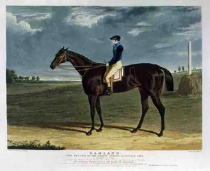 Cadland, le gagnant du Derby Stakes à Epsom