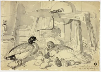 Canards, canetons et meules de pierre