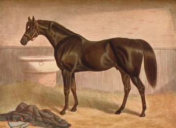 Gladiateur, 19e siècle, 1903