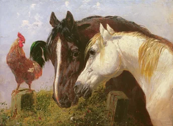 Amis de la ferme