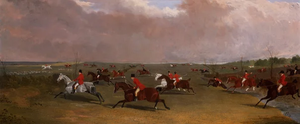 Une chasse en pleine course