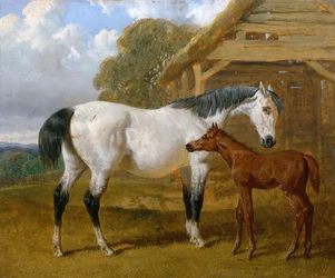 Jument et poulain devant une grange, 1854