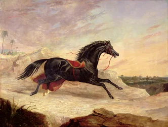 Arabes poursuivant un cheval arabe en liberté dans un paysage oriental