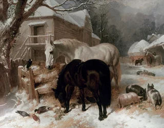 Scène de Ferme