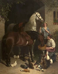 Nourrir les chevaux