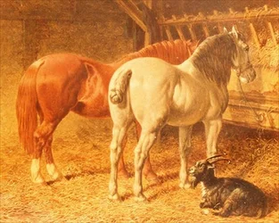 Chevaux et une chèvre dans une étable