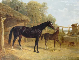 Légèreté, propriété de J.C. Cockerill Esq., avec son poulain Reine Elizabeth, propriété de Lord Dorchester, 1843