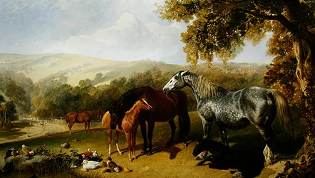 Juments et poulains dans un paysage