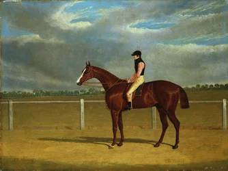 Le cheval de course "Le Colonel" avec William Scott Up
