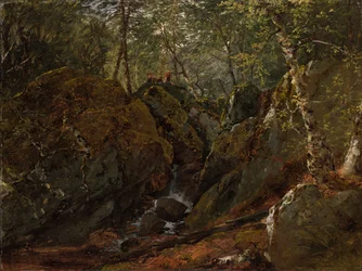 Cascade des Catskills