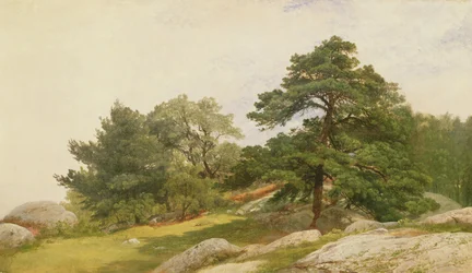 Étude pour des arbres sur la côte de Beverly